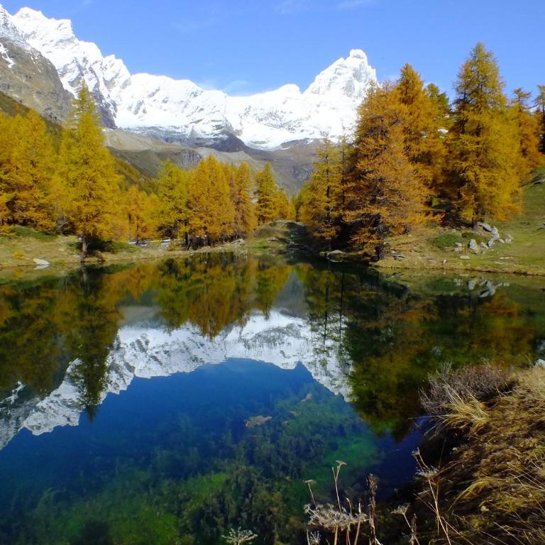 The Aimone - Historic Alpine Retreat - Appartamento con 1 Camera da Letto - 48