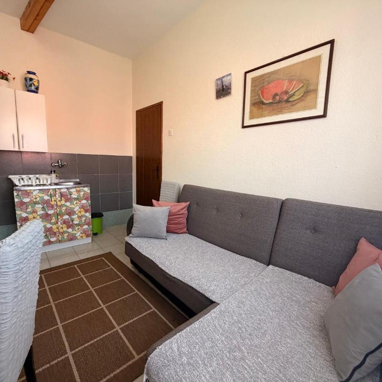 Apartment Ruzica - Apartman sa Pogledom na Planinu - 11