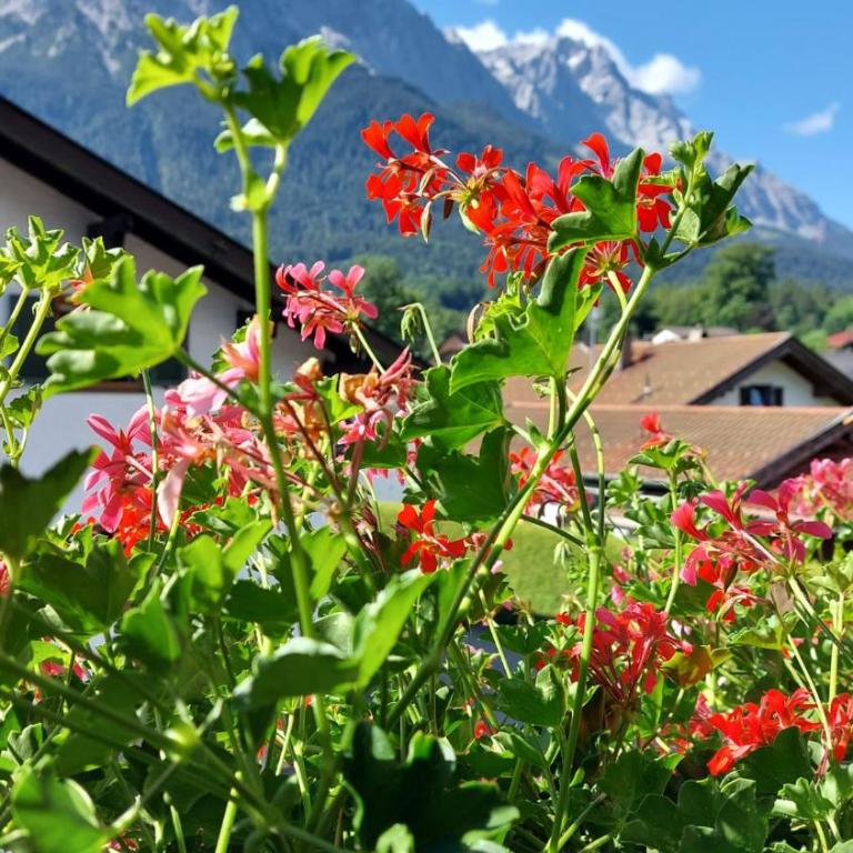 Ferienwohnung Gufler - Apartment mit Blick auf die Berge - 2