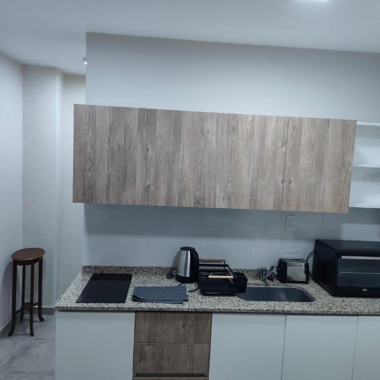 Departamento Centrico Santiago piso 1 Y 2 - Apartamento Deluxe - 27