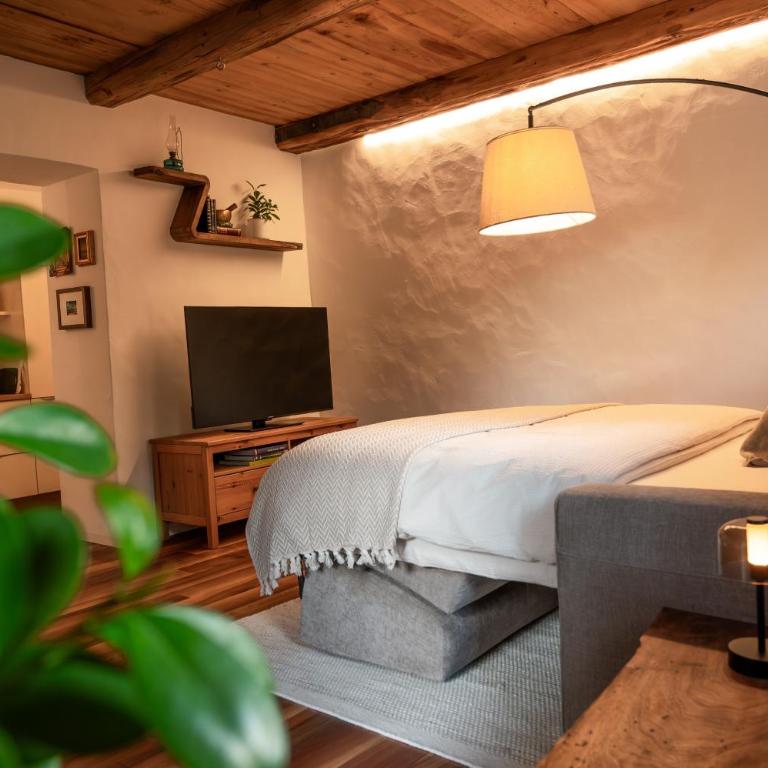 Saxöler Brixen - Apartamento de 1 dormitorio con vistas al jardín - 1