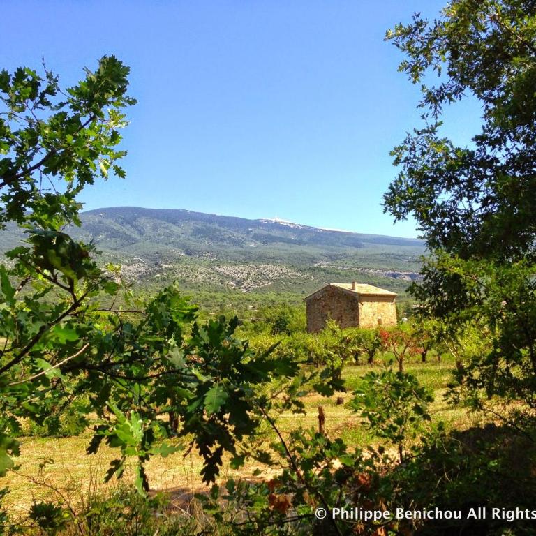 Les Maquinols Provence Villa, Mont Ventoux, Bédoin - Haus mit 4 Schlafzimmern - 7