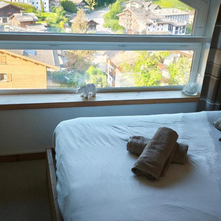 appartement duplex & Garage bonne localisation - Appartement 2 Chambres - 12