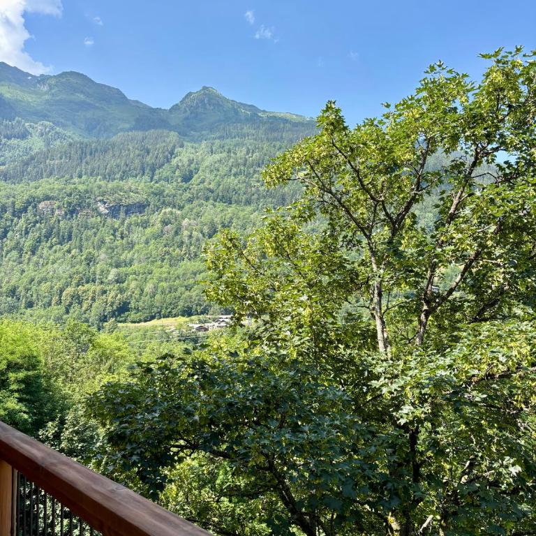 Hôtel Le Monal - Studio - 6