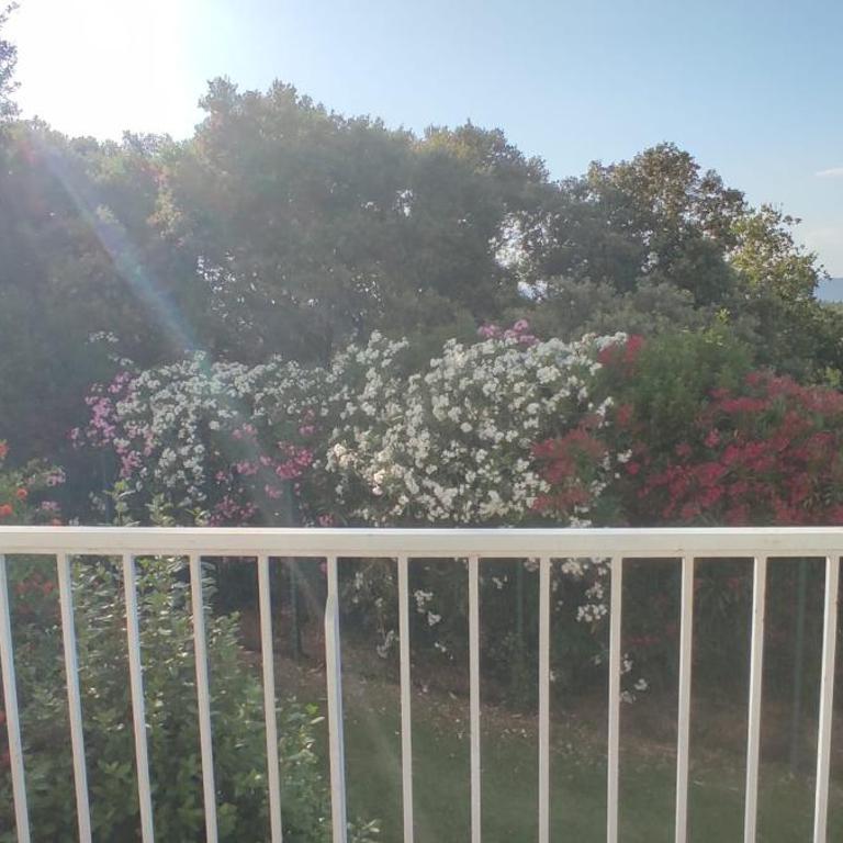 Appartement avec piscine à Fréjus - Appartement - 5