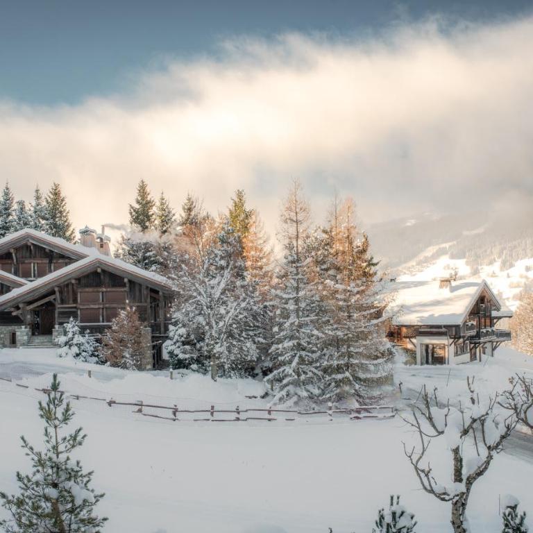 Chalet Bois d'Argent, avec services, Collection Chalets des Fermes - Chalet - 4