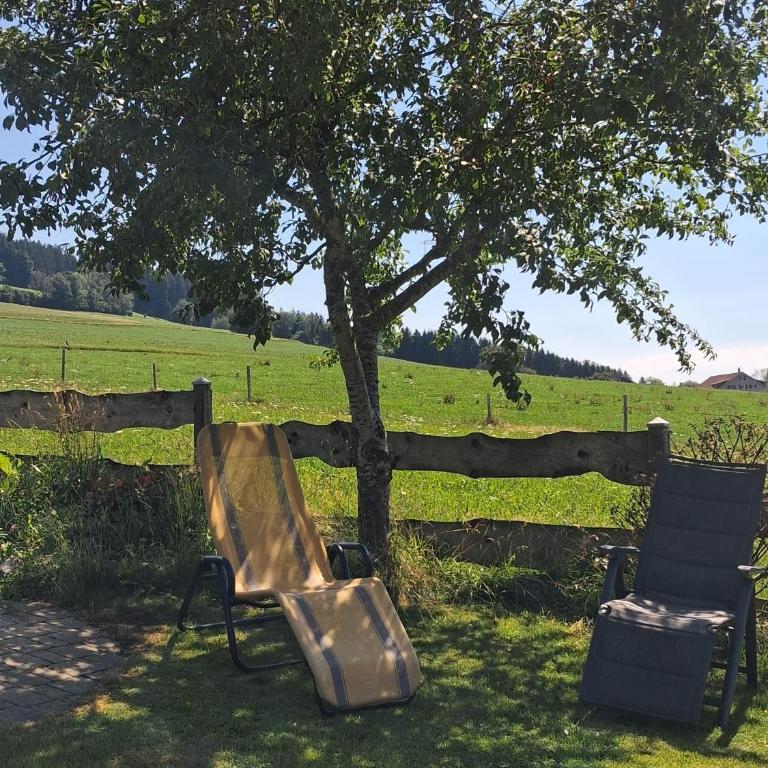 Haus Biggi - Ferienwohnung Pfänder - Deluxe-Apartment mit 2 Schlafzimmern und Gartenblick - 23