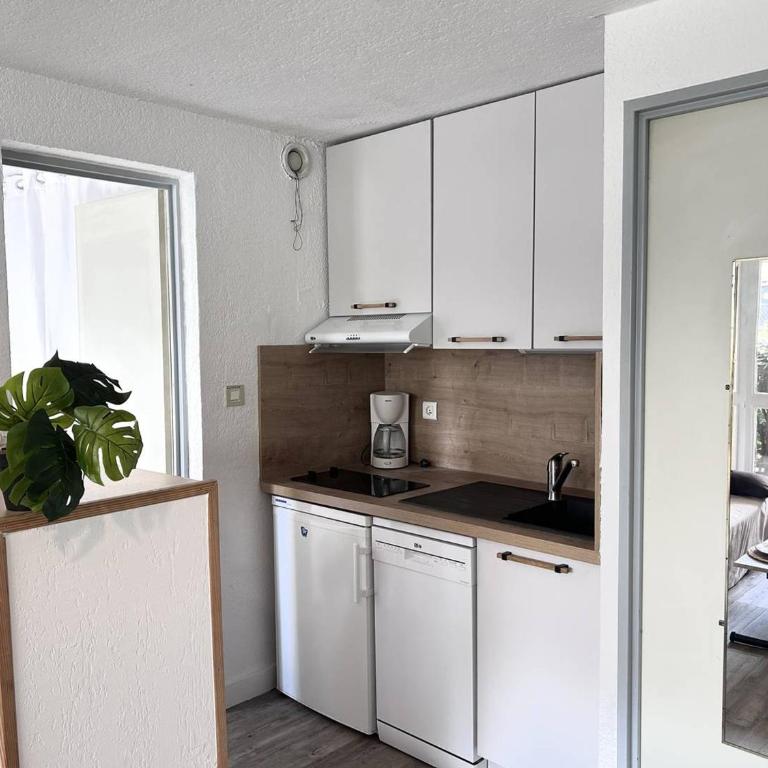 Appartement 4 pers. Saint-Lary, Proche centre, WIFI - FR-1-296-288 - Appartement (4 Adultes) - 17