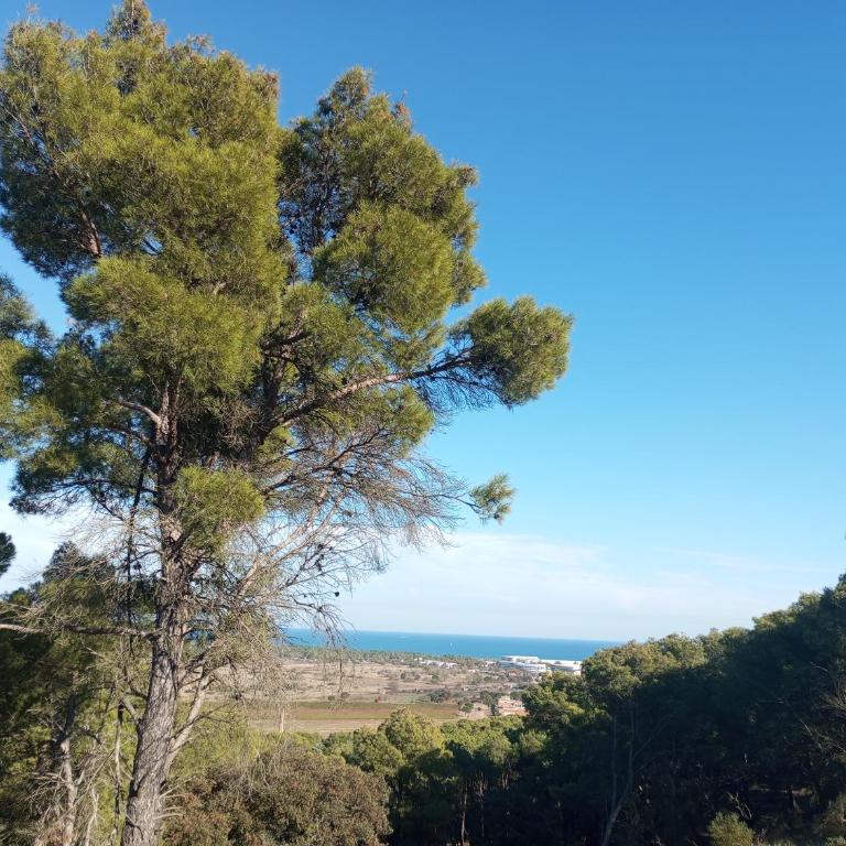 EXCLUSIVE fin AOUT Chalet Cosy Agde 6 pers, clim, piscine, Pinède, parking, calme Méditerranée - Chalet 2 Chambres - 9