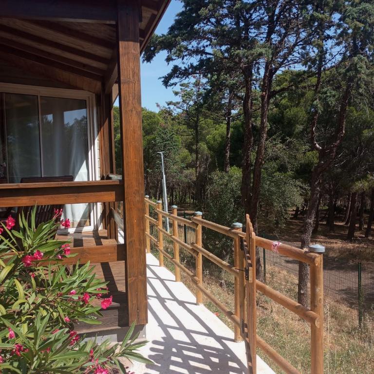 EXCLUSIVE fin AOUT Chalet Cosy Agde 6 pers, clim, piscine, Pinède, parking, calme Méditerranée - Chalet 2 Chambres - 11