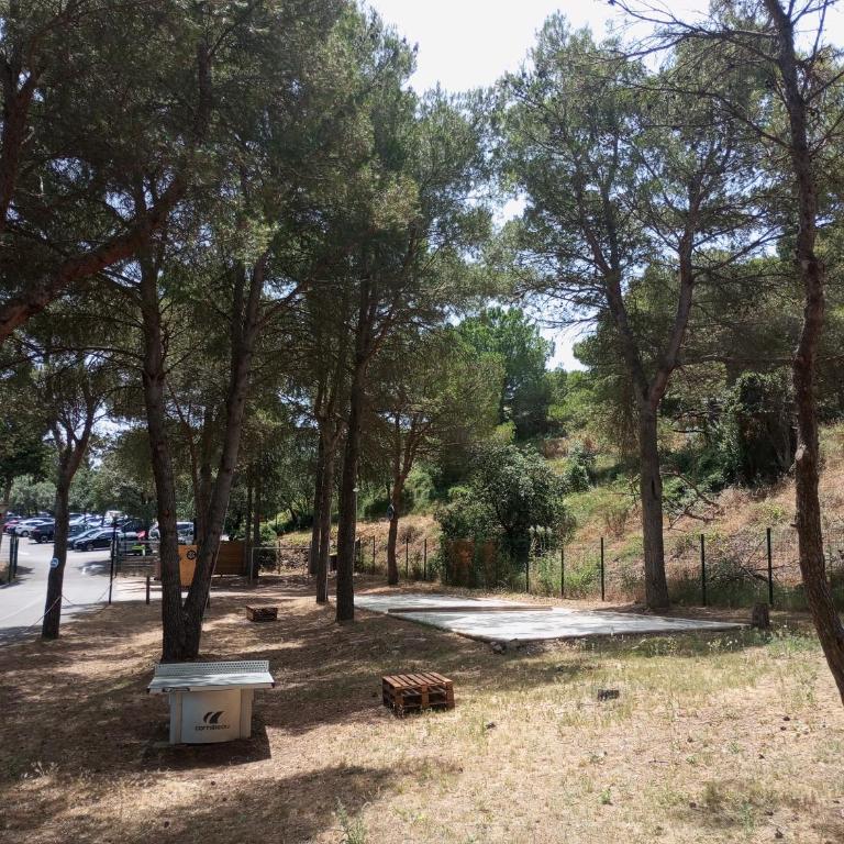 EXCLUSIVE fin AOUT Chalet Cosy Agde 6 pers, clim, piscine, Pinède, parking, calme Méditerranée - Chalet 2 Chambres - 39