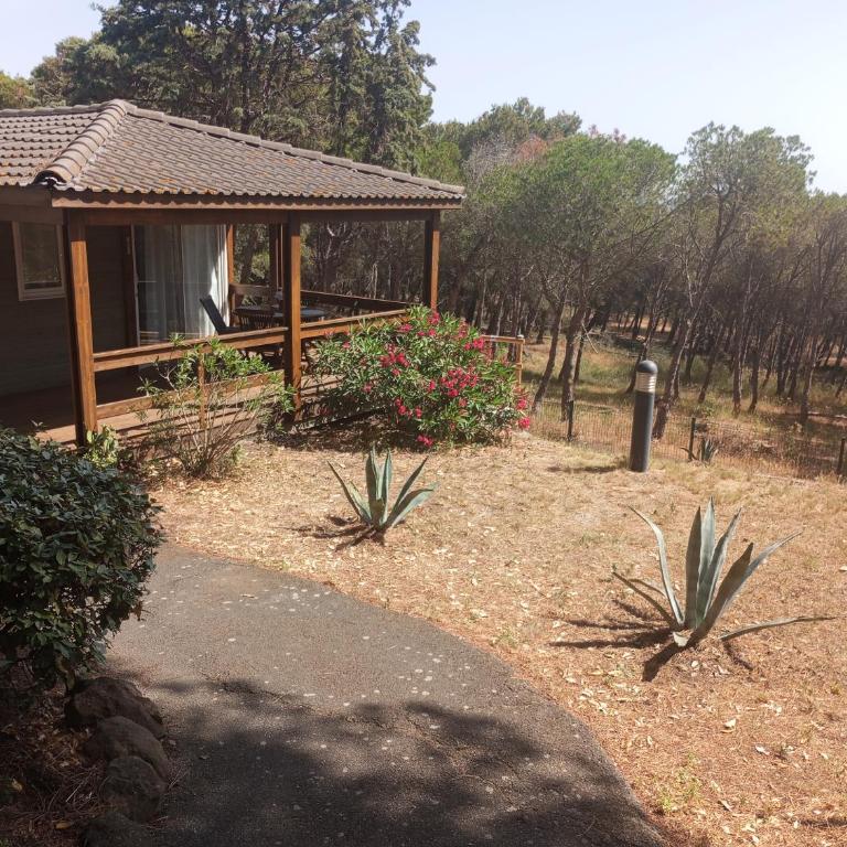 EXCLUSIVE fin AOUT Chalet Cosy Agde 6 pers, clim, piscine, Pinède, parking, calme Méditerranée - Chalet 2 Chambres - 12
