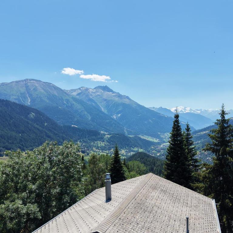 Chalet Montis - Ferienhaus mit 3 Schlafzimmern - 31