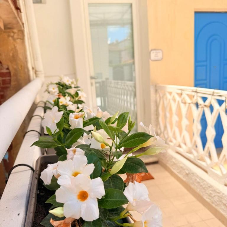 la casina della fabi - Appartamento con 1 Camera da Letto - 14