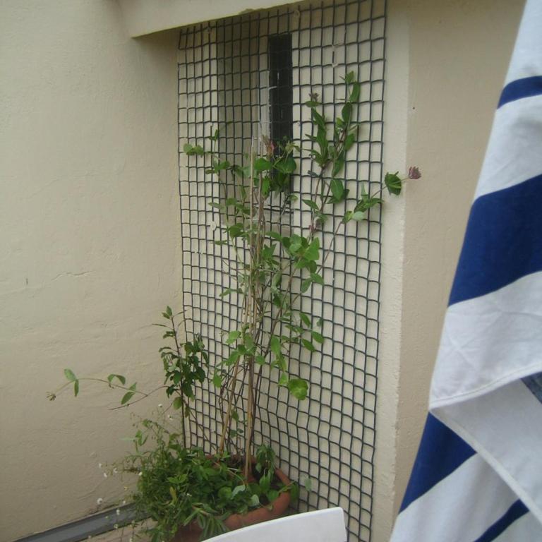 Studio Agachadou vue mer, terrasses - Studio avec Terrasse - 21