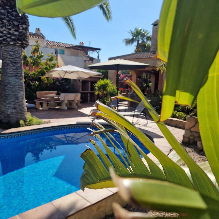 Riumar "Pedro", 270m to beach, private pool, On-Site-Service, dog beach - Maison 4 Chambres - 4