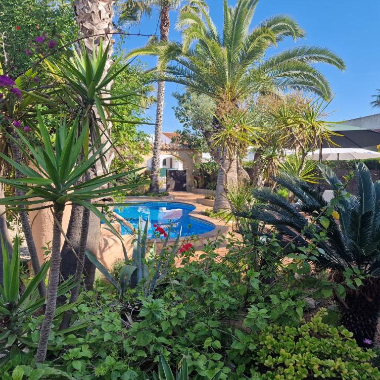 Riumar "Pedro", 270m to beach, private pool, On-Site-Service, dog beach - Maison 4 Chambres - 5