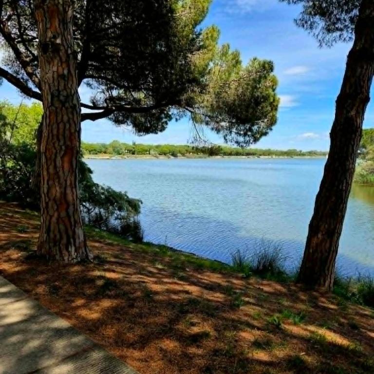 Studio chic près du golf, clim, wifi, parking - Apartment - 11
