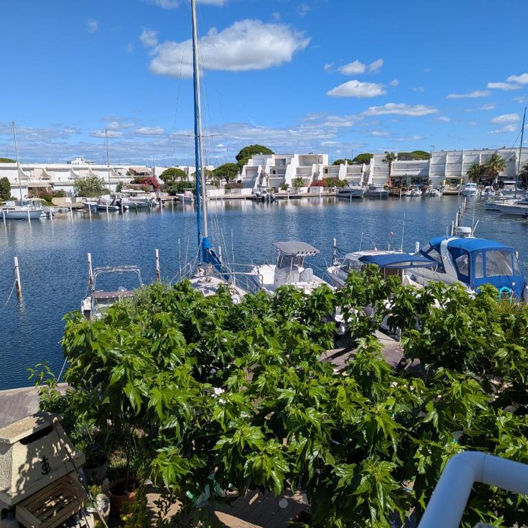 Grande marina vue sur port - Apartment mit 2 Schlafzimmern, Terrasse und Meerblick - 7