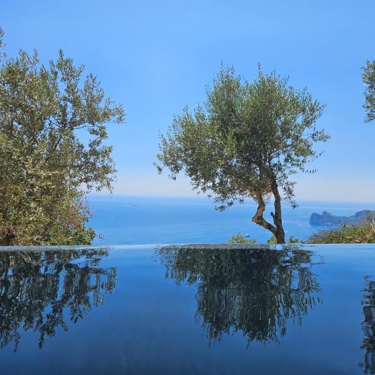 Villa Dequinz Luxury Retreat & Private Infinity Pool - Villa - 8