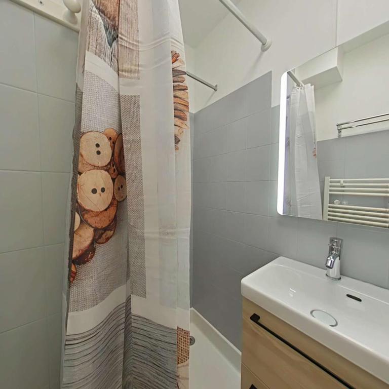 Studio cabine 4 pers. proche patinoire et pistes, parking, ménage inclus, navette à proximité - FR-1-241-157 - Appartamento (4 Adulti) - 16