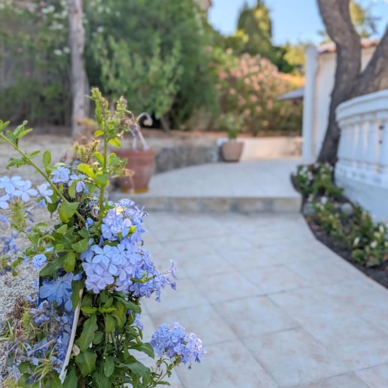 Le Provençal, Terrasse privée, Piscine 4 pers - Apartment mit 1 Schlafzimmer - 12