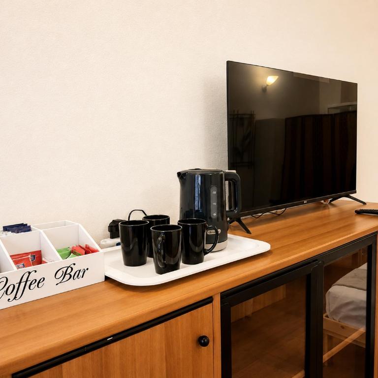 The theathre room - One-Bedroom Apartment - 10