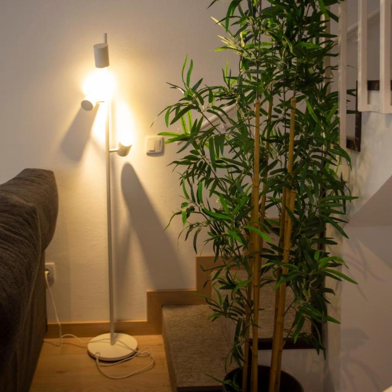 Apartamentos San Pedro en Llanes - Apartamento de 2 dormitorios (4 adultos) - 18