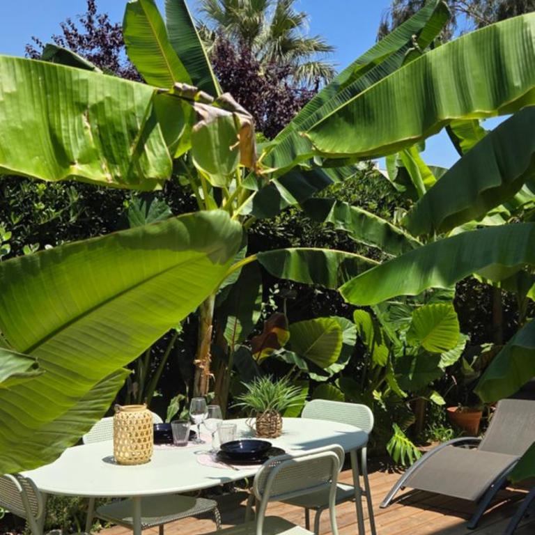 Studio avec terrasse tropicale à 3 min de la plage - Apartment mit 1 Schlafzimmer - 9