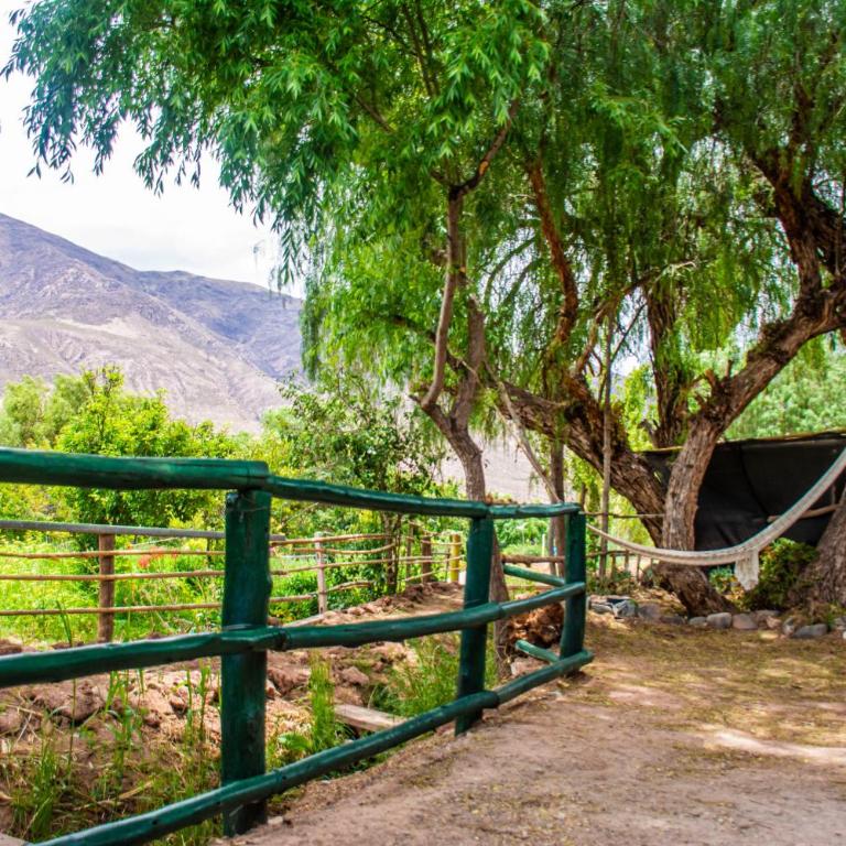 Tale Cabaña de campo - Chalet de 1 dormitorio - 3