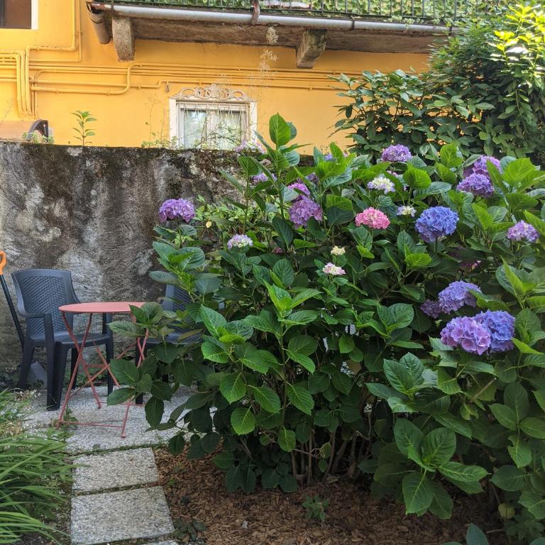 Pallanza Courtyard Apt - Appartamento con 1 Camera da Letto - 15
