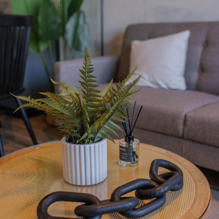 HT Calido dpto with Parking Concepción - Apartamento de 3 dormitorios - 19