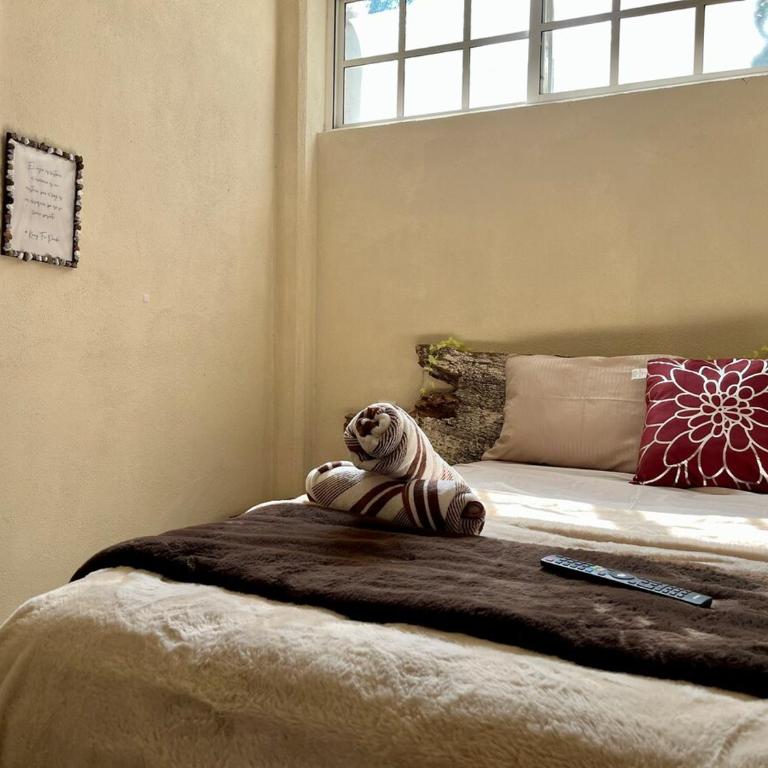 Planta Baja,p4,Pet friendly,10 minutos del centro - Apartment mit 2 Schlafzimmern - 13