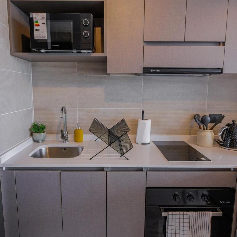 HT Beautiful Studio in Concepción with AC - Apartamento de 1 dormitorio - 1