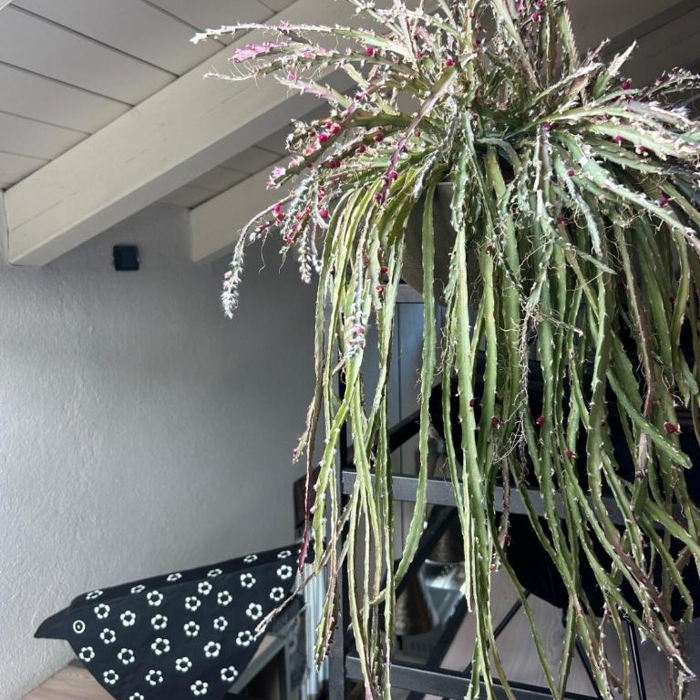 Aosta Giannetti Home loft centro storico - Appartamento con 1 Camera da Letto - 9