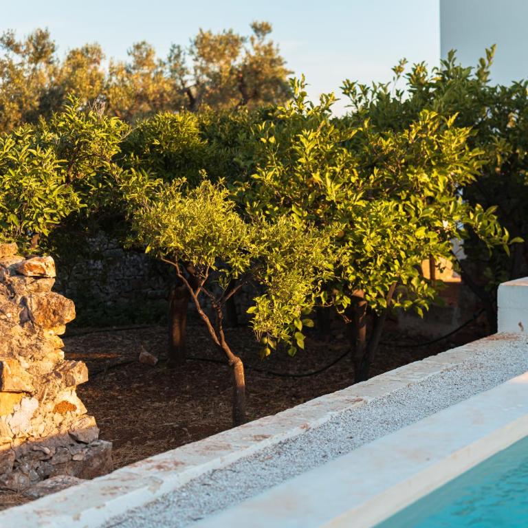 Casa Ottavia Villa & Pool - Puglia Mia Apartments - Appartamento Deluxe con 2 Camere da Letto - 7