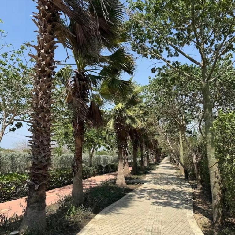 Paraíso privado en Cartagena - Piscina y parking - Two-Bedroom Apartment with Balcony - 20