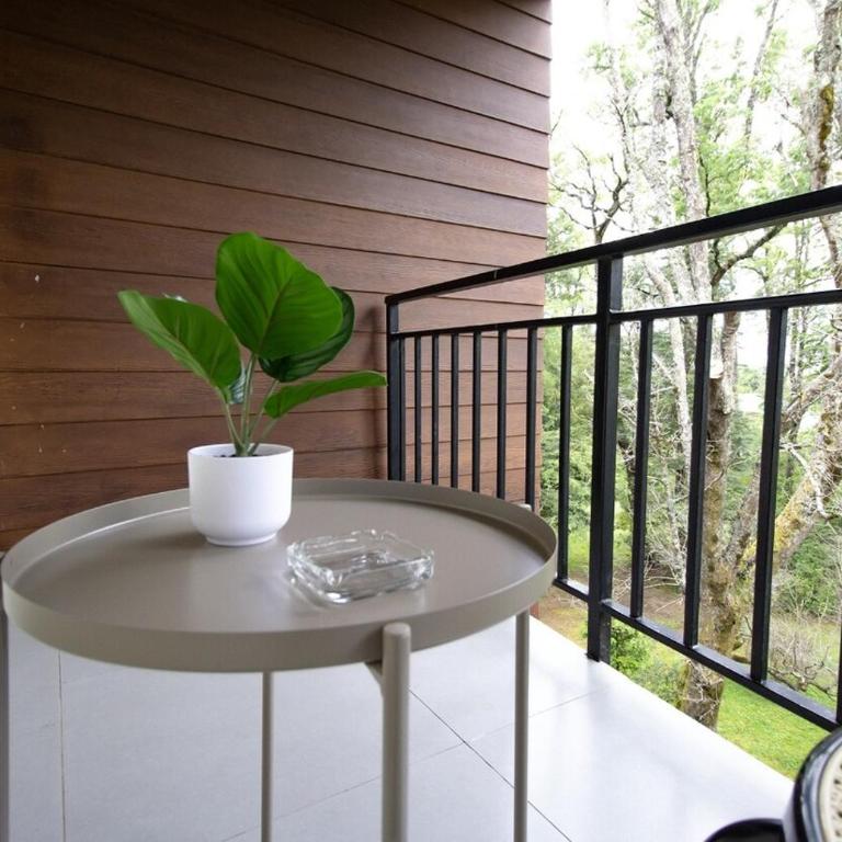 HT Beautiful apartment on the way to the Volcano - Three-Bedroom Apartment - 49