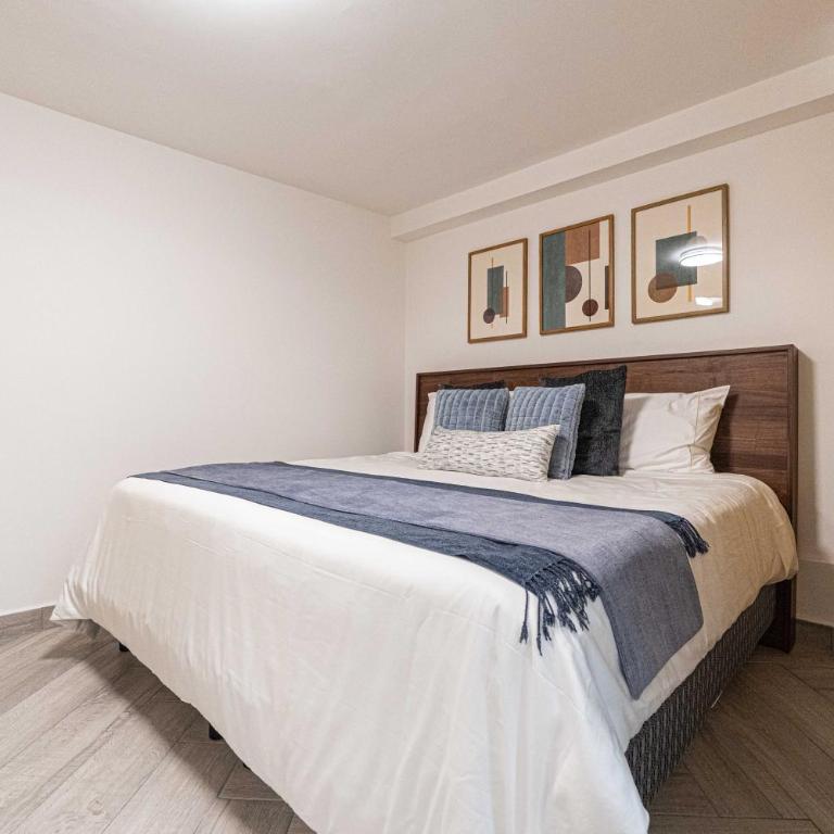 Homero 538: Apartamentos Equipados en Polanco - One-Bedroom Superior Apartment - 1