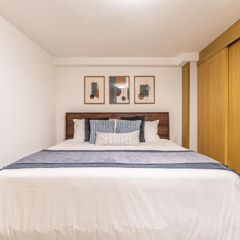 Homero 538: Apartamentos Equipados en Polanco - One-Bedroom Superior Apartment - 3