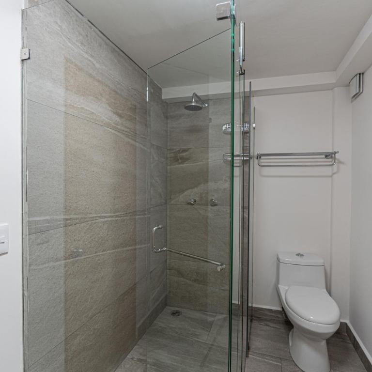 Homero 538: Apartamentos Equipados en Polanco - One-Bedroom Superior Apartment - 4