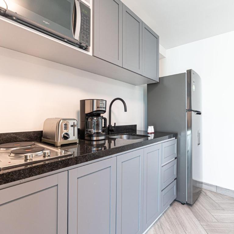 Homero 538: Apartamentos Equipados en Polanco - One-Bedroom Superior Apartment - 10