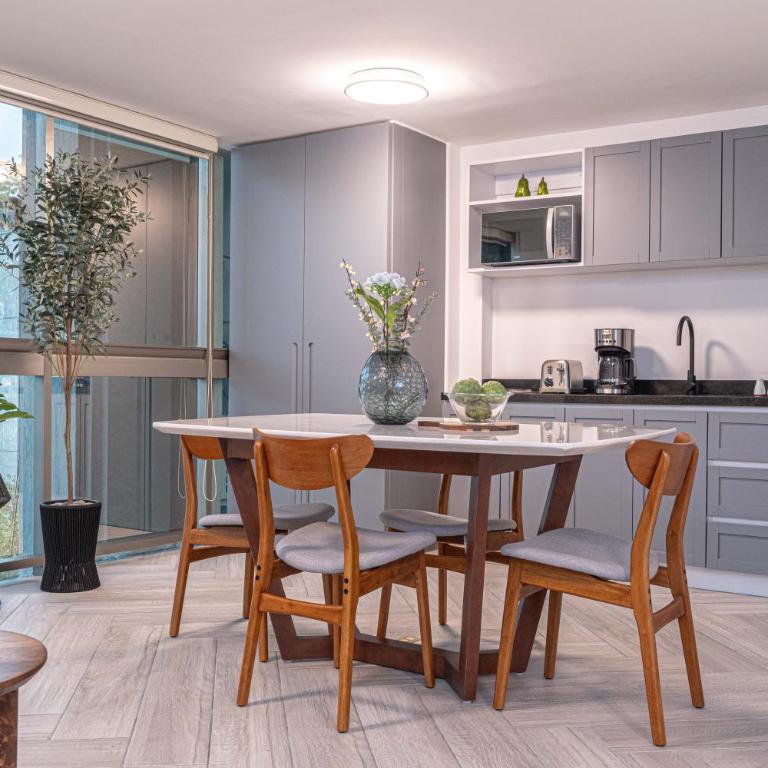 Homero 538: Apartamentos Equipados en Polanco - One-Bedroom Superior Apartment - 13