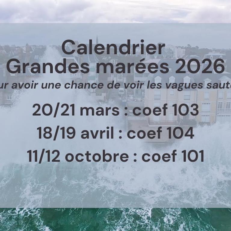 Appart à 2min de la plage et proche intra-muros - Appartement 2 Chambres - 19