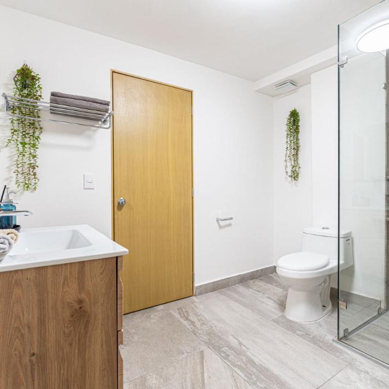Homero 538: Apartamentos Equipados en Polanco - Two-Bedroom Apartment - 8