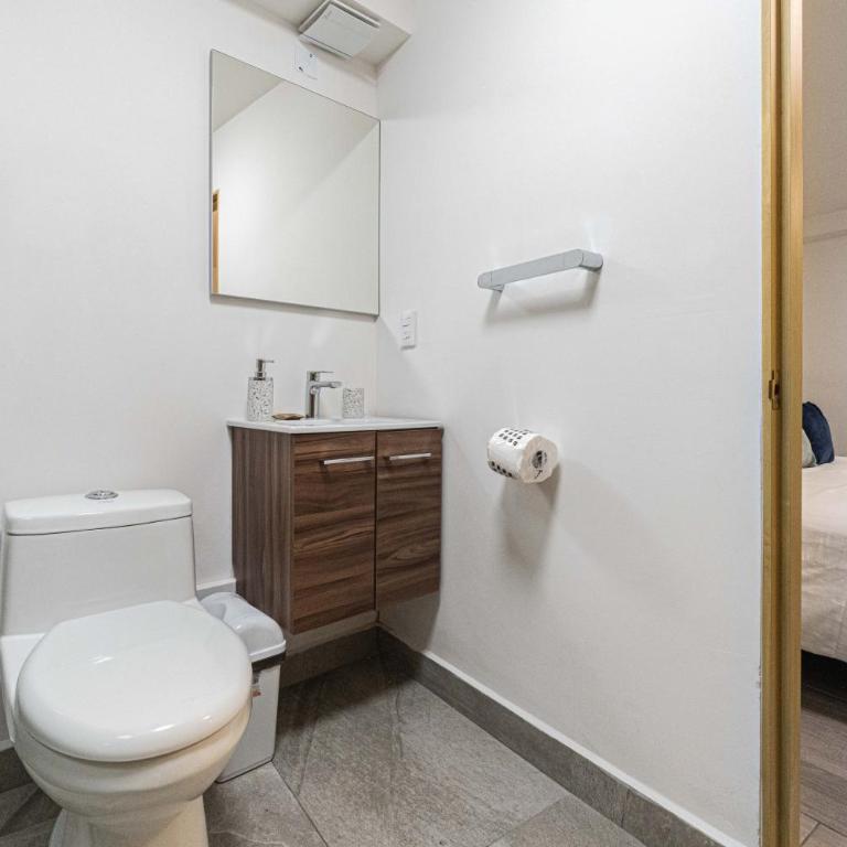 Homero 538: Apartamentos Equipados en Polanco - Two-Bedroom Superior Apartment - 8