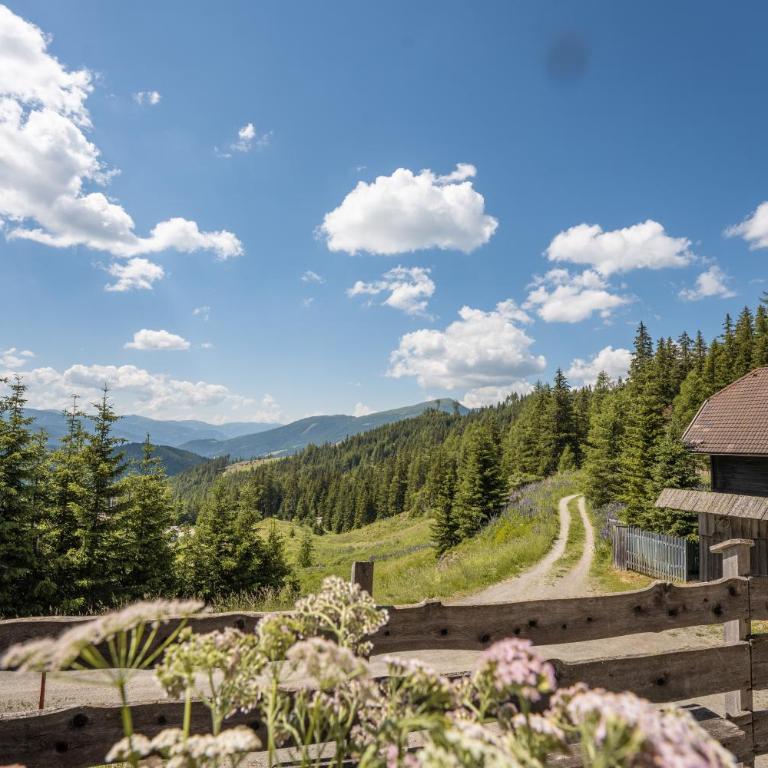 my Hütten Katschberg - Chalet mit 2 Schlafzimmern - 3