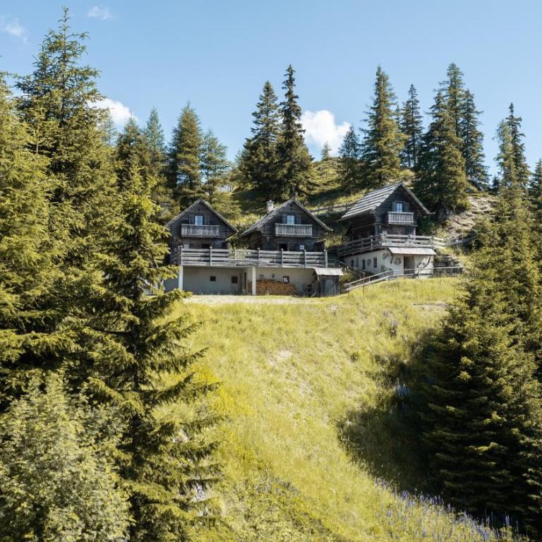 my Hütten Katschberg - Chalet mit 2 Schlafzimmern - 9