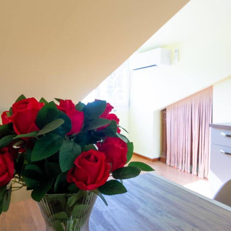 Attic flat with a view in the heart of Padua - Apartamento de 2 dormitorios - 16