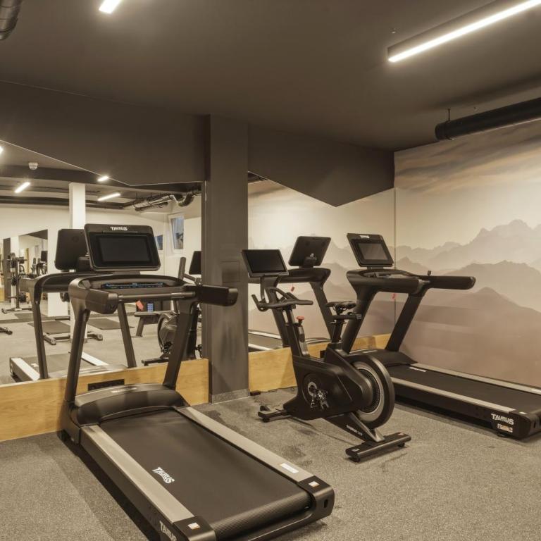 Suites Stubai Wellness & Fitness inklusive Stubai Supercard - Alpine Suite Forest - 1
